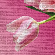 Фото на холсте без подрамника